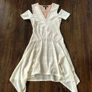 BCBGMaxAzria Women’s Odette M Asymmetrical Lace/Lined Sleeve Dress